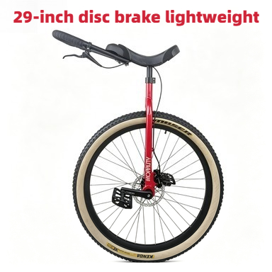 Monociclo da 29 Pollici con Fr - Cycling Commute Distance recensione e prezzo