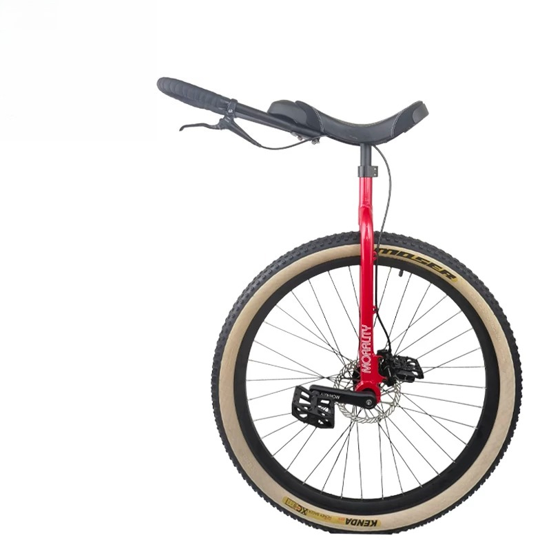 Monociclo da 29 Pollici con Fr - Cycling Commute Distance recensione e prezzo