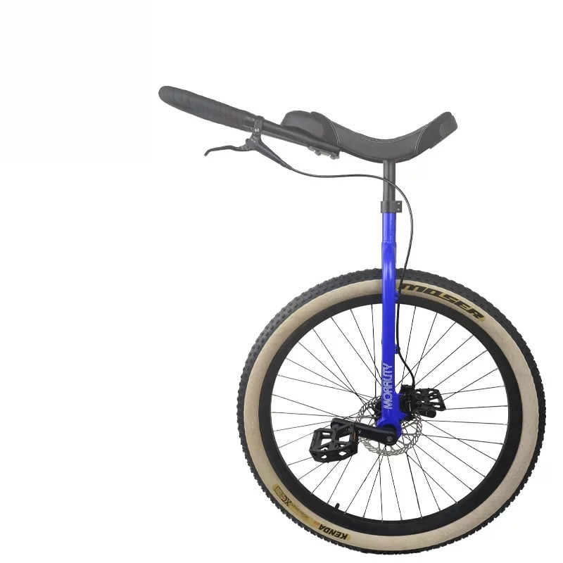 Monociclo da 29 Pollici con Fr - Cycling Commute Distance recensione e prezzo