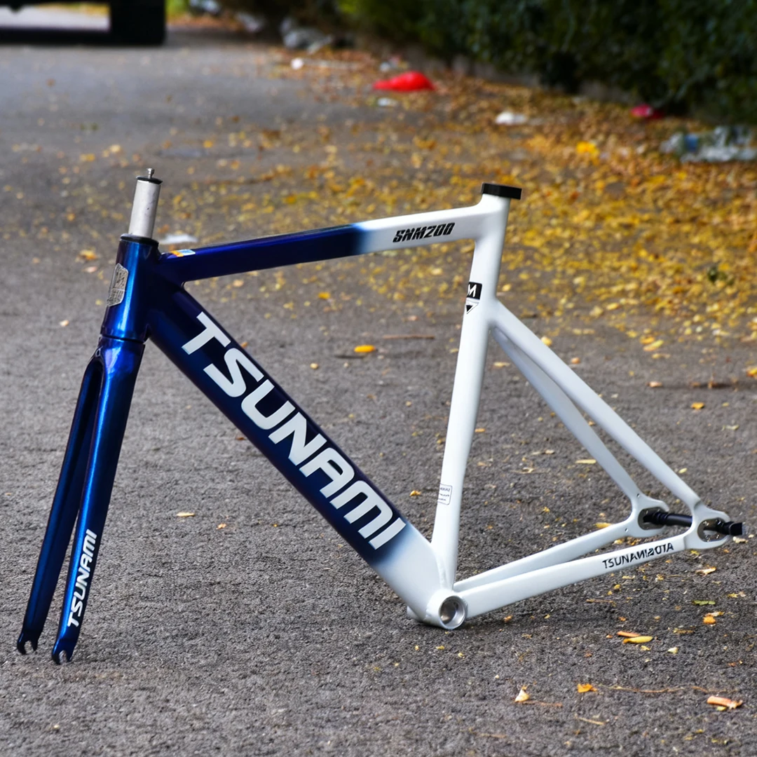 Bicicletta a Scatto Fisso SNM2 - Cycling Commute Gear recensione e prezzo