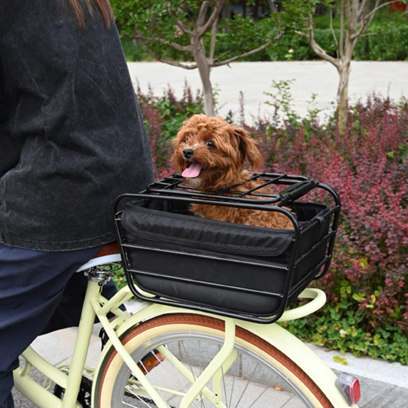 Cestino posteriore per bici, r - Cycling For Commute recensione e prezzo